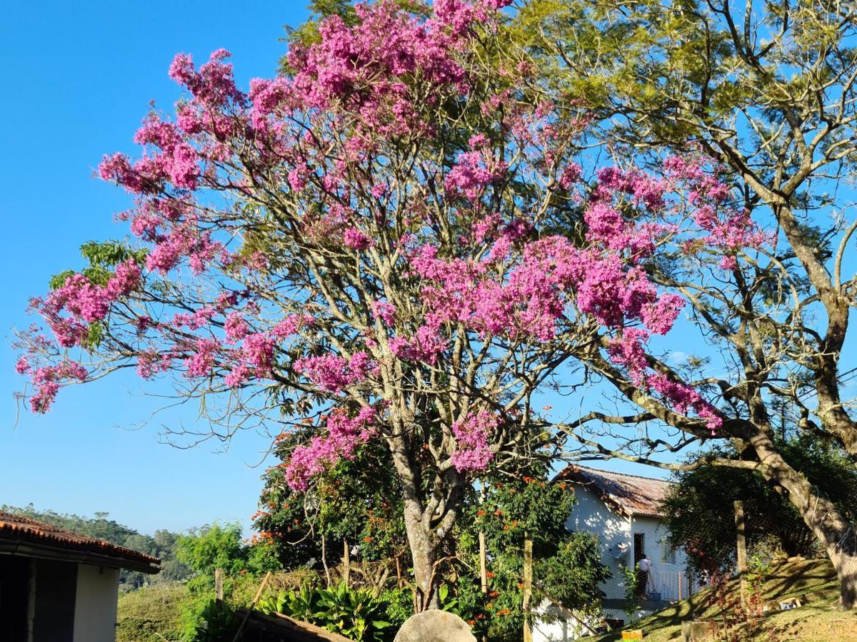 Pousada Nossa Senhora Penedo  Ngoại thất bức ảnh Flowering tree