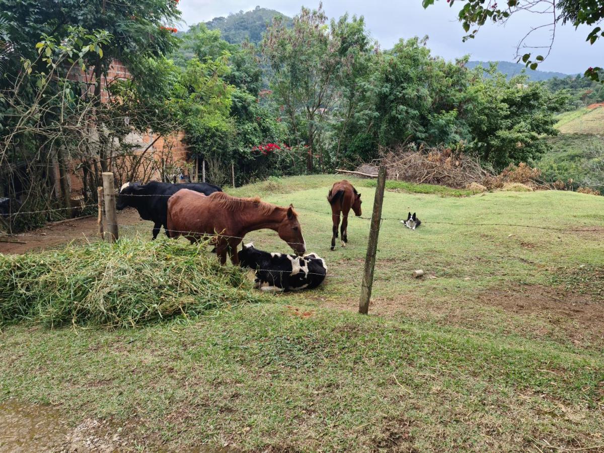 Pousada Nossa Senhora Penedo  Ngoại thất bức ảnh Cattle and horses in the countryside of El Salvador